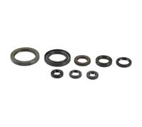 ATHENA P400210400202 KIT PARAOLI MOTORE HONDA CRF 150 R 2010