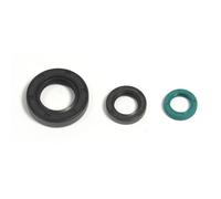 ATHENA P400210400213 KIT PARAOLI MOTORE HONDA CRF F 150 2014