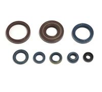 ATHENA P400220400128 KIT PARAOLI MOTORE HUSQVARNA CR 125 2000