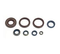 Athena P400220400252 Kit Paraoli Motore