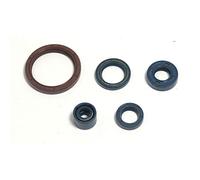 Set di guarnizioni olio motore ATHENA P400220400255