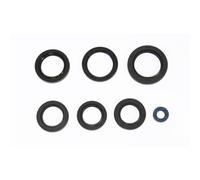 ATHENA P400250400018 KIT PARAOLI MOTORE KAWASAKI KFX 700 2009