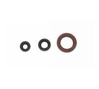 ATHENA P400250400036 KIT PARAOLI MOTORE KAWASAKI KFX SPORT 400 2005