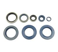 Set di guarnizioni olio motore ATHENA P400270400006