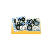 Athena P400270400036 Kit Paraoli Motore
