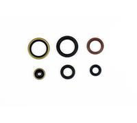 ATHENA P400270400077 KIT PARAOLI MOTORE KTM EXC 150 TPI 2022