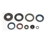 Guarnizioni motore, complete ATHENA P400270400220