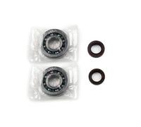 ATHENA P400480444001 KIT DI RIPARAZIONE ALBERO MOTORE DERBI ATLANTIS 50 2010