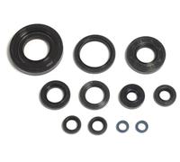 Wellendichtring-Satz P400485400035 Athena