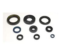 Athena P400485400036 Kit Paraoli Motore