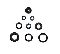 Athena P400485400048 Serie Paraolio Motore