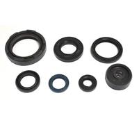 Athena P400485400254 Kit Paraolio Motore