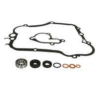 ATHENA P400485475013 Guarnizione, Pompa acqua