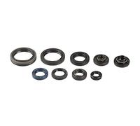 Athena P400510400140 Kit Paraoli Motore