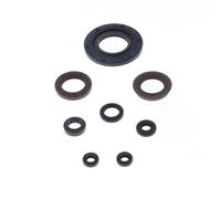 ATHENA P400510400255 KIT PARAOLI COMPLETO APRILIA RS 250 1999