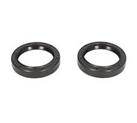 Athena P40FORK455066 Serie Paraolio Forcella