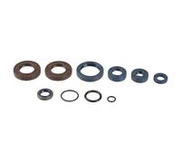 Serie Paraolio Motore BETA RK 50 6 da 1-1993 - a 12-1996