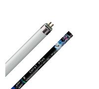 ATI Coral Plus Neon T5 New Generation