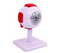 ATJSXWIN Allargata Umano bulbo oculare Struttura anatomico Modello, Staccabile Modello Occhio per l'insegnamento Medico e l'educazione del paziente, con Display Stand(3X Eyeball)