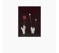 Atkinson, Felicia - Flower & Vessel