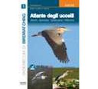 Atlante degli uccelli. Ediz. illustrata. Vol. 1: Aironi, garzetta, tarabusino, nitticora