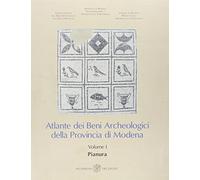 Atlante dei Beni Archeologici della Provincia di Modena. Pianura (Vol. 1)