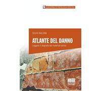 Atlante del danno. Leggere il degrado dei materiali edilizi - 202
