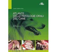 Atlante delle patologie orali del cane