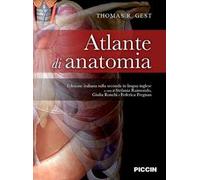 Atlante di anatomia