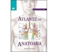 Atlante di anatomia