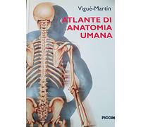 Atlante di anatomia umana