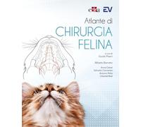 Atlante di chirurgia felina - Barneto Alberto, Calvet Anna, Cervantes Salv...