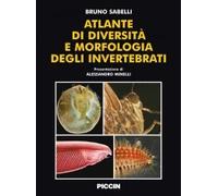Atlante di diversità e morfologia degli invertebrati