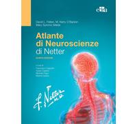 Atlante di neuroscienze di Netter - 2022 - Edra