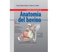 Atlante illustrato di anatomia del bovino