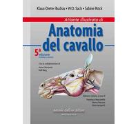 Atlante illustrato di anatomia del cavallo. Ediz. a colori