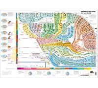 Atlas des vertébrés - Poster - Origine et évolution des vertébrés
