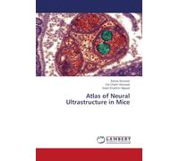 Atlas of Neural Ultrastructure in Mice