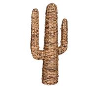 ATMOSPHERA CREATEUR D'INTERIEUR - Cactus Hacienda giacinto d Acqua h75cm