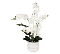 ATMOSPHERA CREATEUR D'INTERIEUR - Orchidea artificiale in vaso mick in ceramica bianca h80cm