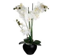 ATMOSPHERA CREATEUR D'INTERIEUR - Orchidea artificiale vaso in ceramica nera H53cm