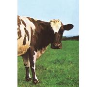 Atom Heart Mother. Il cuore nuovo dei Pink Floyd - 2023 - Tsunami