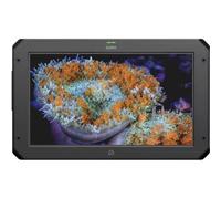Atomos Sumo 19 SE | ✅ 3 anni di garanzia