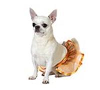 Atosa Costume De Animale Domestico Tutu Arancione S