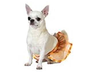 Atosa Costume De Animale Domestico Tutu Arancione S