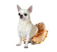 ATOSA Orange Tutu Pet Costume