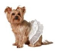 ATOSA White Tutu Pet Costume