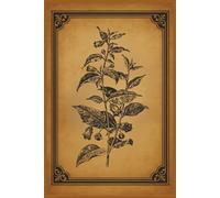 Atropa Belladonna Specimen Notebook - Volume 6: Lined Botanical Journal Featuring Vintage Deadly Nightshade Illustration for Apothecary Notes and Plant Lovers
