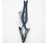 Attacco posteriore GIVI 5117fz bauletto Monokey/Monolock BMW r1200/1250 r/rs