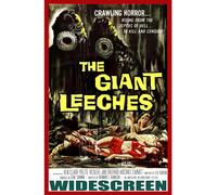 Attack of the Giant Leeches (DVD) Bruno VeSota Michael Emmet Ken Clarke